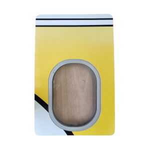 Brussels Airlines Aerosmurf Airbus A320 Single Window