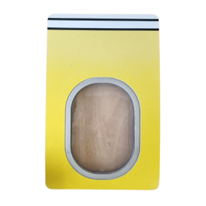 Brussels Airlines Aerosmurf Airbus A320 Single Window