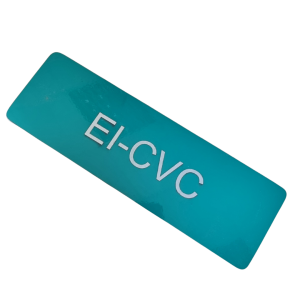 Aer Lingus EI-CVC Engraved Large Skin