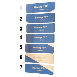 Boeing 757 G-LSAE Engraved Skin